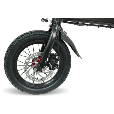 Z1S - Vélo Électrique Pliable - Noir Mat